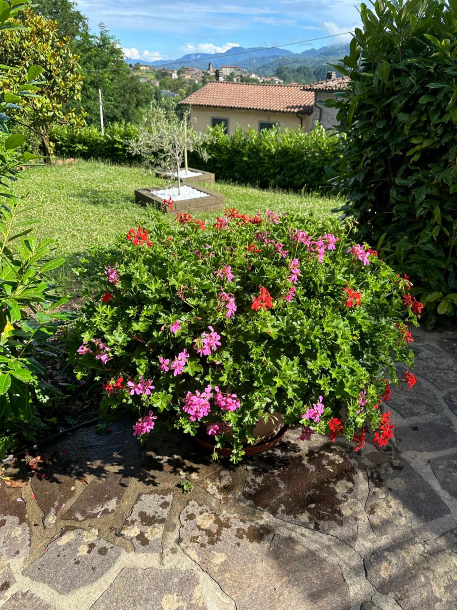 Casa Margherita Celide San Romano Exteriör bild